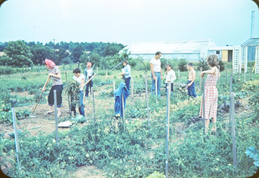 Junior Garden at Hilltop Garden and Nature Center